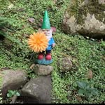 Erin Hull - @happy_gnomes_flowerfarm - Instagram