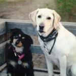 Erin Hull - @erin.hull.14 - Instagram
