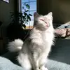erin.is.human - @erin.is.human - TikTok