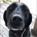 Erin Hutton - Facebook