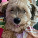 Adnerb Gavino - @erin_jacob - Instagram