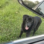 Erin Jacob - @swisswolf25 - Instagram