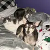 Erin Keyes - @hello77824 - TikTok