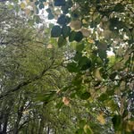 erin king! - @eriinkng - Instagram