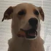 erinkoppen - @erinkoppen - TikTok