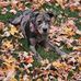 Erin Kulp - Facebook