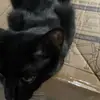 Sunny - @erinlafave8 - TikTok