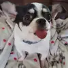 erin lafever - @erinlafever6 - TikTok