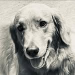 Erin Lake - @crookstonlake - Instagram
