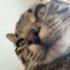 Erin Lake - @erin.lake0 - TikTok