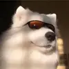 langdon erin - @langdonerin - TikTok