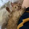 Erin Leaver - @erin.leaver - TikTok
