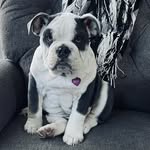 Erin Lindemann - @erinlindemann0315 - Instagram