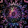 ErinPlowman - @erinplowman - TikTok