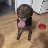 Erin Lung - @erin.lung3 - TikTok