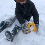 Erin Manor Sampugnaro - @lincolnfoxs - Instagram