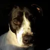Erin Mansfield - @erin.mansfield - TikTok