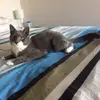 Erin Mansfield  - @cutepanda1974 - TikTok
