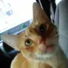 erinmanz8 - @erinmanz8 - TikTok