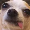 Erin Marquez - @erinmarquez8 - TikTok