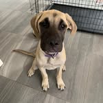 Erin Marriott - @marriott.erin - Instagram