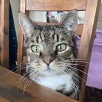 Erin Masters - Facebook