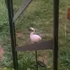 erinmasters49 - @erinmasters65 - TikTok