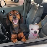 Erin Mathis - @spencer6685 - Instagram