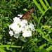 Erin Elizabeth Matlack - Facebook