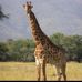 Tom Matlack - Facebook