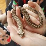 Erin Matson - @eecamer - Instagram