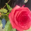 yourlieblingsmazedonerin - @yourlieblingsmazedonerin - TikTok
