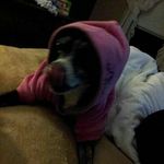 erin mcdonagh - @erin_mac0326 - Instagram