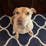 Erin McHale - @emc.007 - Instagram