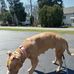 Orin Mclain - Facebook