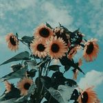 Erin McLemore - @mclemore.erin - Instagram
