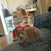 Erinmcmaster - Facebook