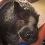 Erin - @erin_meade_78 - Instagram