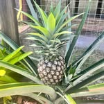 Erin - @erin.merrin - Instagram