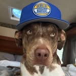 Erin Messenger Dell - @erinmdell - Instagram