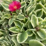 Erin Michaud - @boatgirlmaine - Instagram