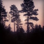 Erin Miley - @erbeardancer - Instagram