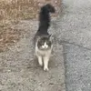 erinmiley - @spikethefirst - TikTok