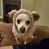 erinmoffitt4 - @erinmoffitt4 - TikTok