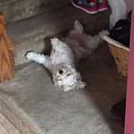 Erin Monahan - @erin.monahan.124 - Instagram