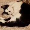 erinmonahan498 - @erinmonahan498 - TikTok