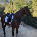 Erinmore polo - @erinmore_polo - Instagram
