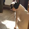 erinemoretti - @erinemoretti - TikTok