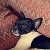 Erin_Moritz - @erin_moritz - TikTok