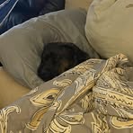 Aaron Murchison - Facebook